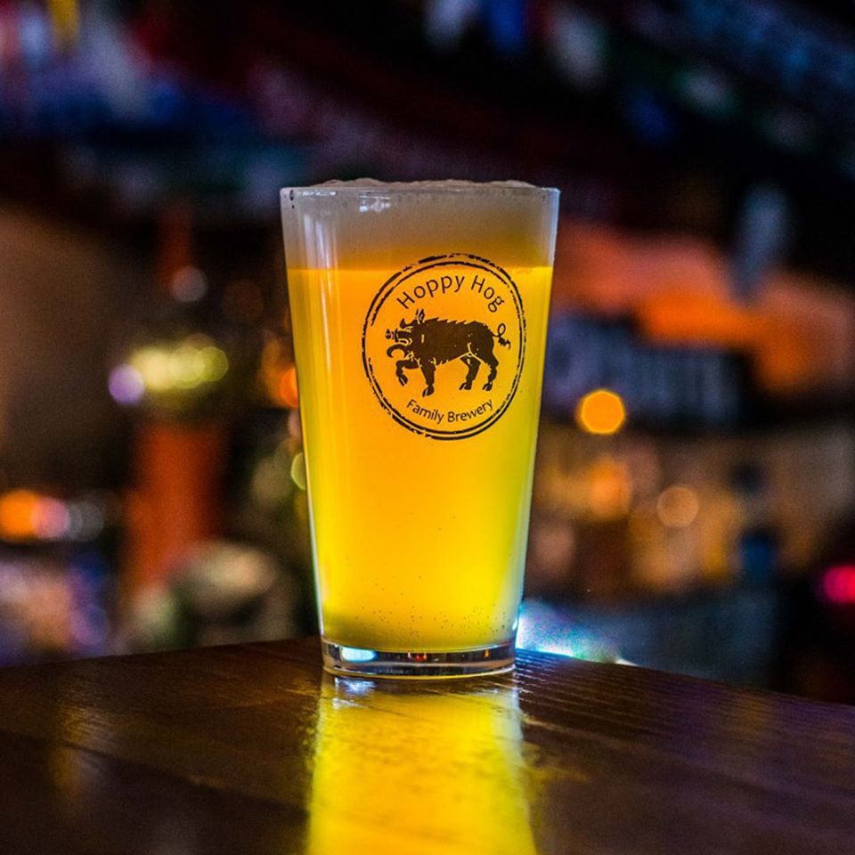 DSC_0067_4915527b59ccb1154a0fd275c55474e0.jpg (97 KB)