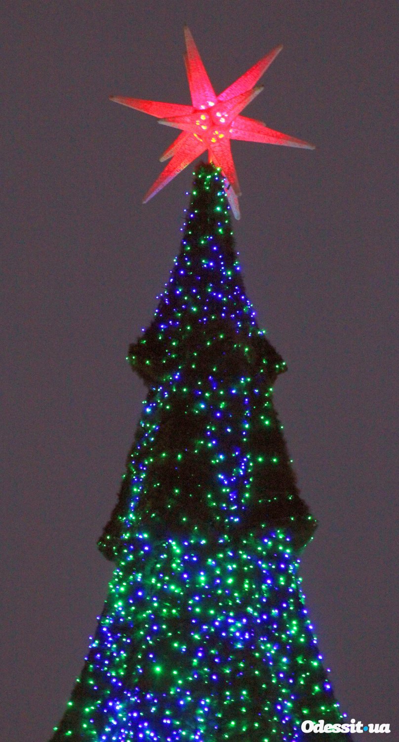 В Одессе открыли главную новогоднюю елку города.