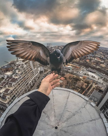 Автор: @dk_roof 