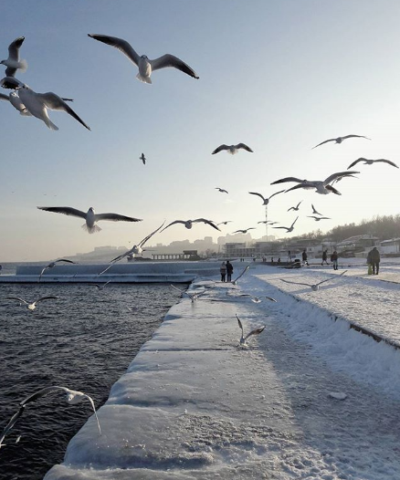 Автор: @andreylashtaba