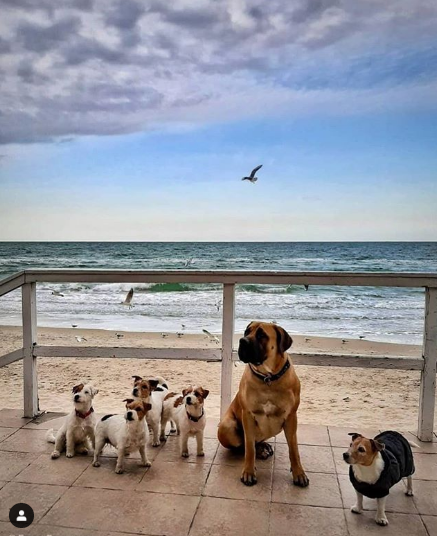 Автор: @elenagorianskaya