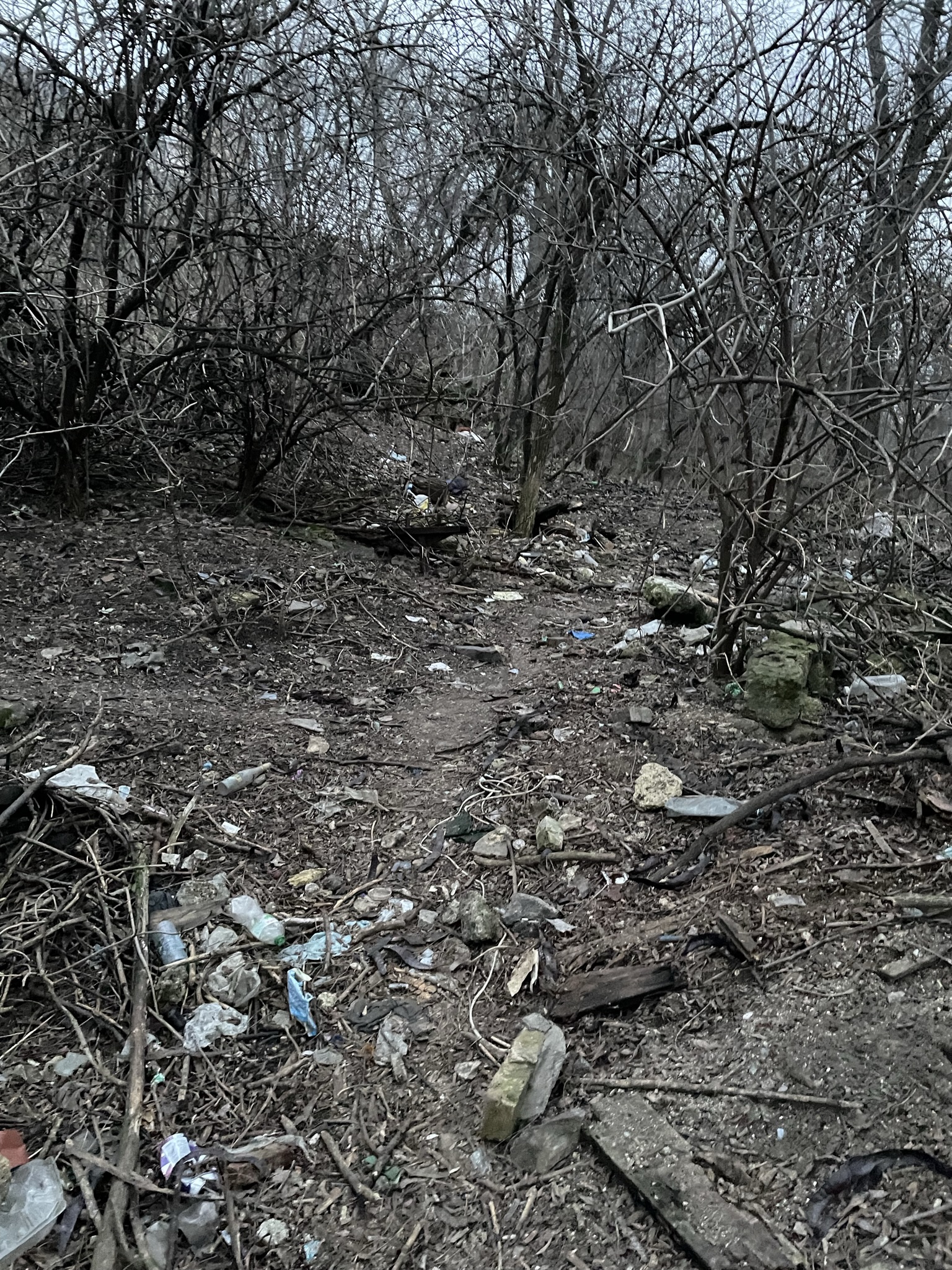 Сквер имени Жанны Лябурб превращается в стихийную свалку.