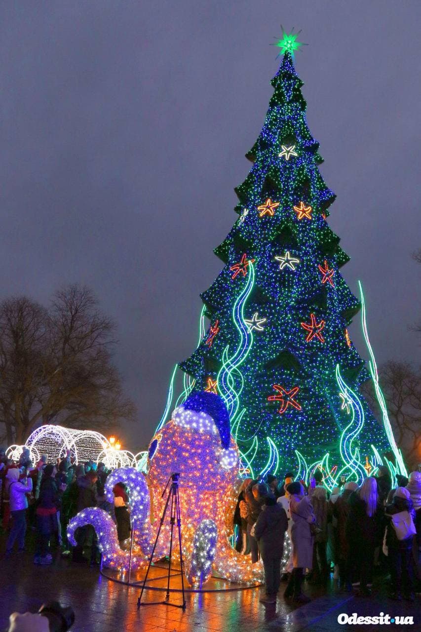 В Одессе открыли главную новогоднюю елку города.