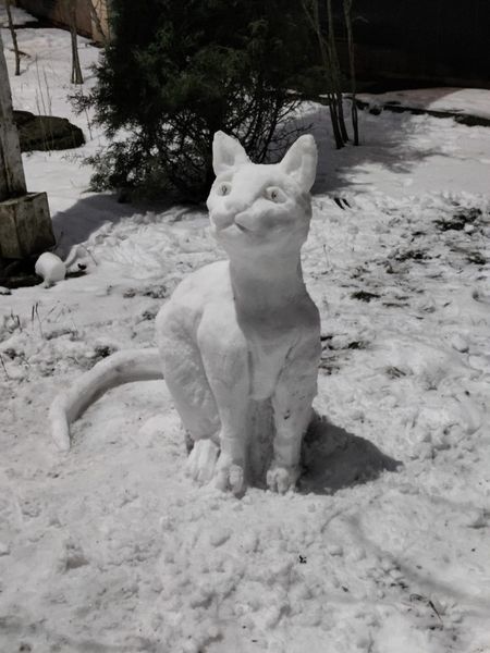 Cнеговик-кот в Одессе.