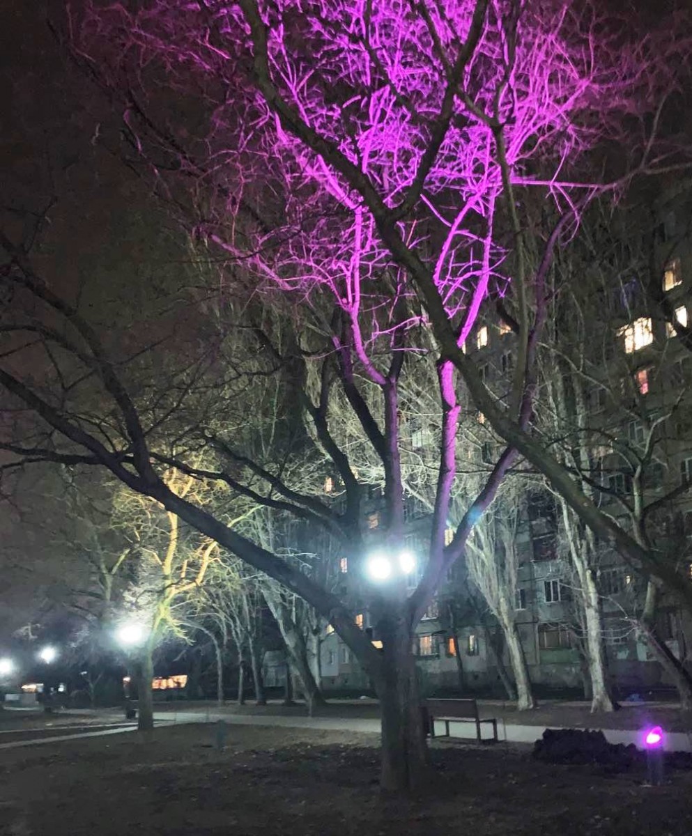 На обновленный Крымский бульвар в Одессе пришли вандалы.