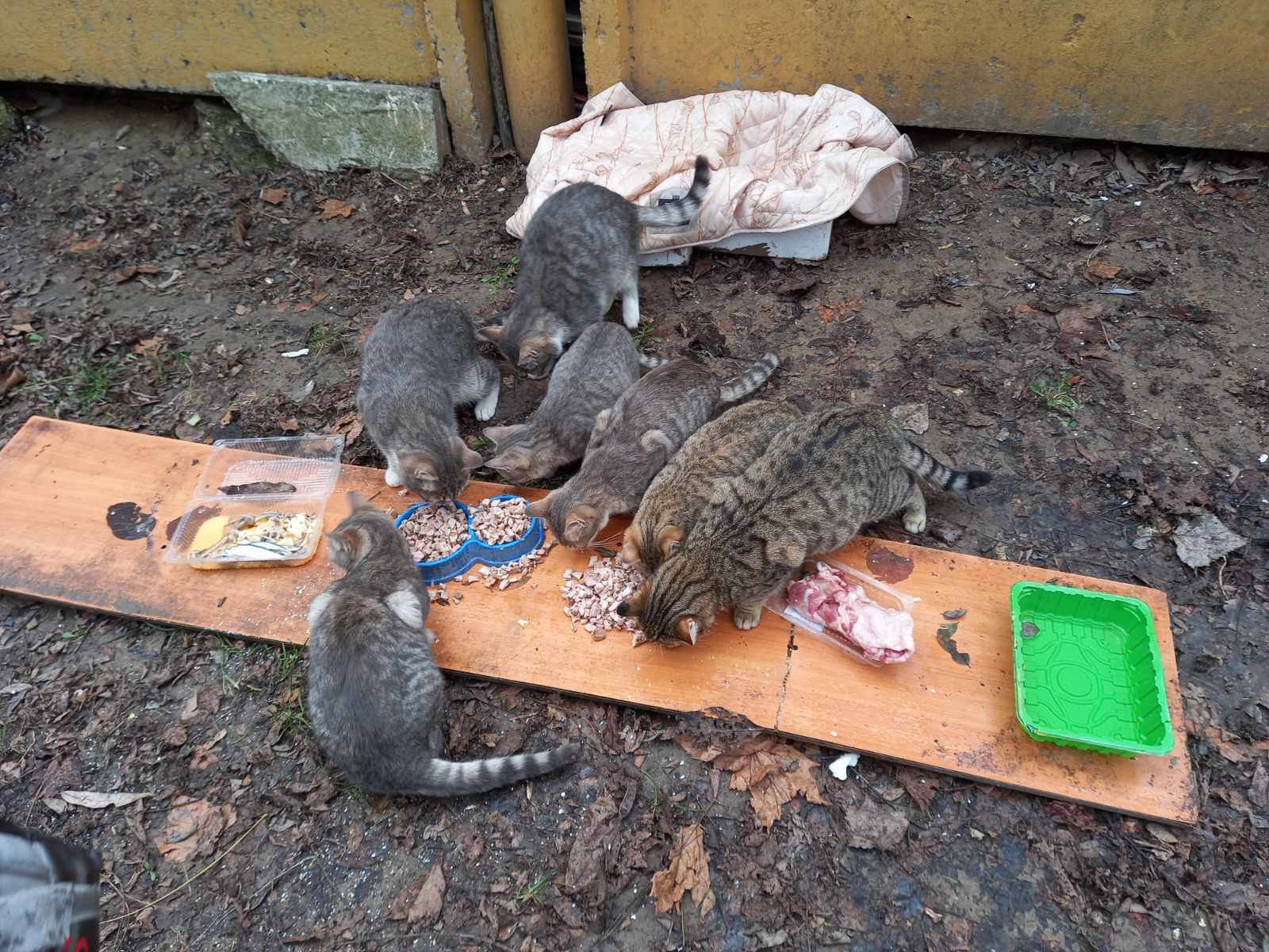 Как было ранее до установки домика.