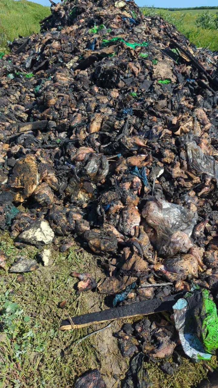 Під Одесою після 