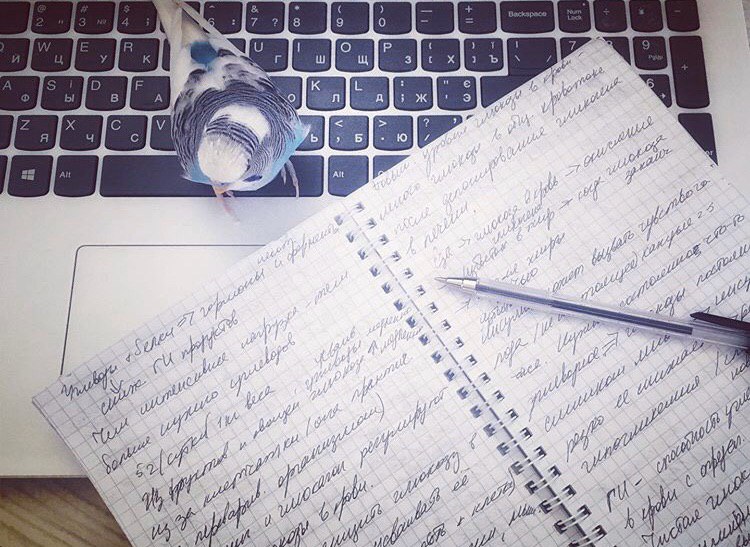 Карантин в Одессе. Фото:  lyuda.medvedeva