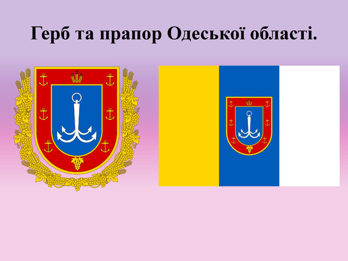 Флаг и герб региона. Фото: Избирком