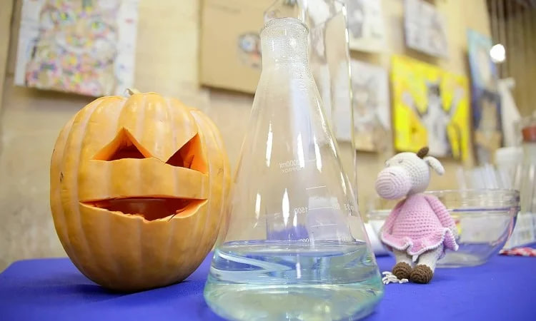 Хэллоуин Мозгофест.