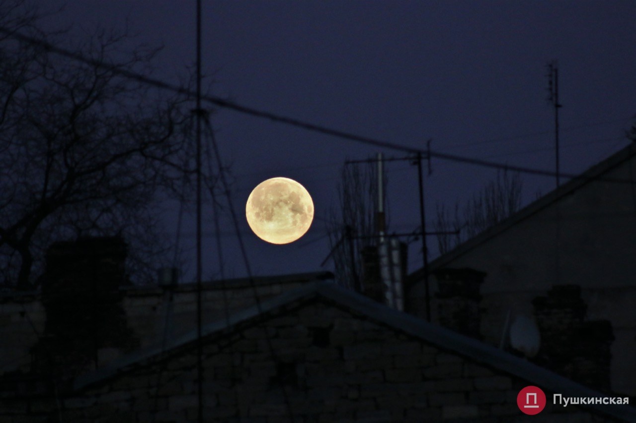 В Одессе "отступило" море. Фото: Пушкинская