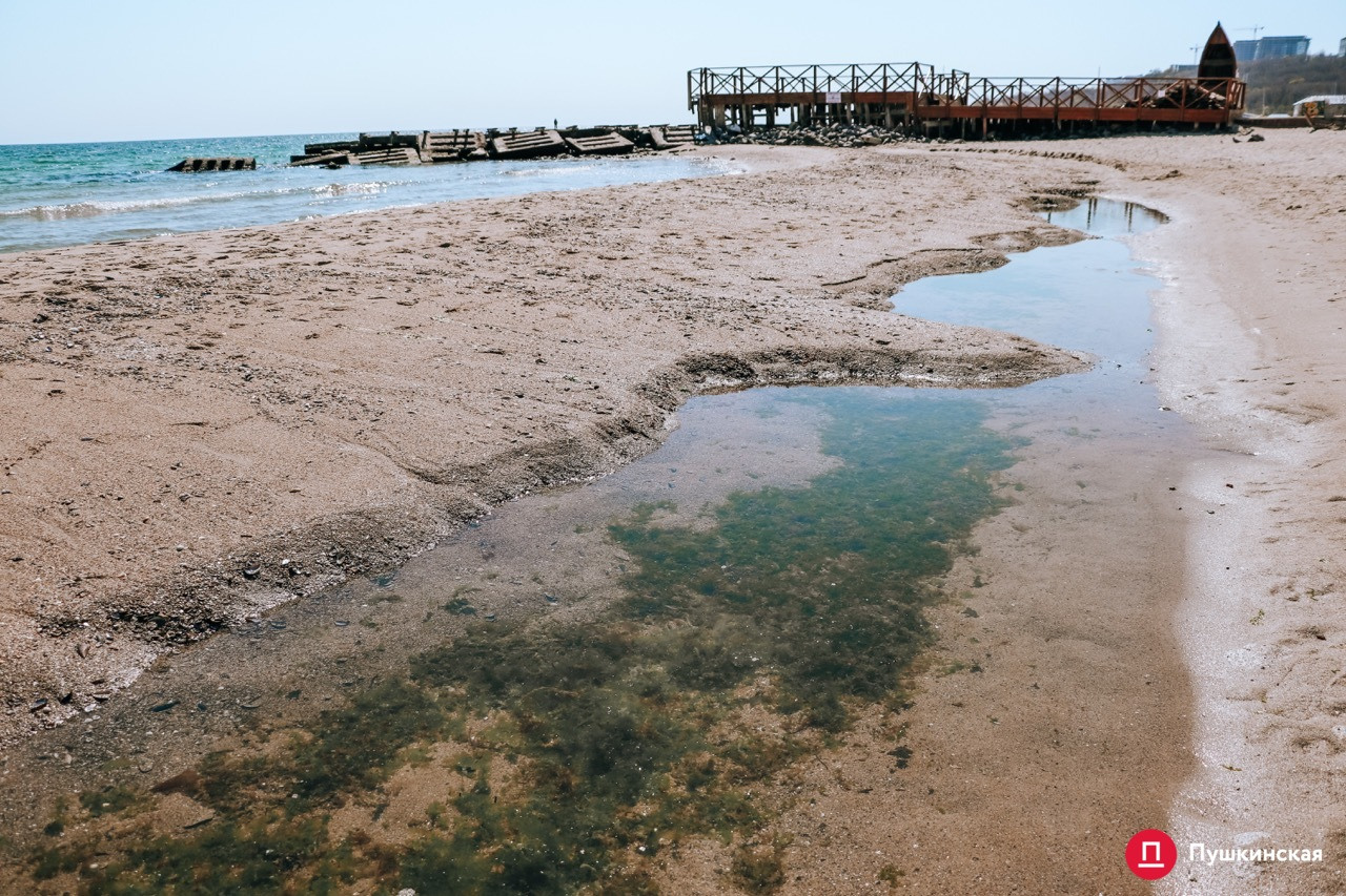 В Одессе "отступило" море. Фото: Пушкинская