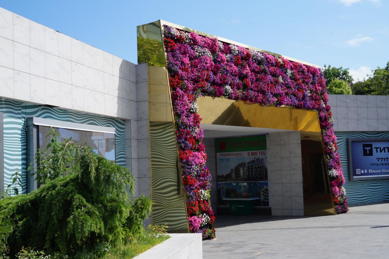 Аркадия. Фото Александры Дедюлиной