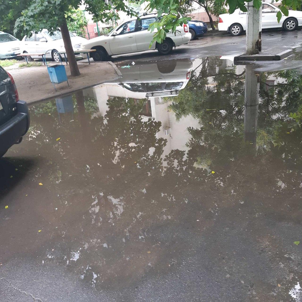 Ремонт асфальта. Фото Натальи Горецкой 