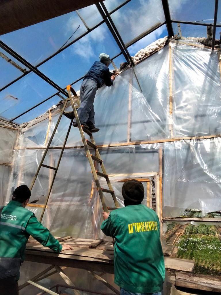 Через обстріл Одеської області постраждали теплиці "Міськзелентресту".