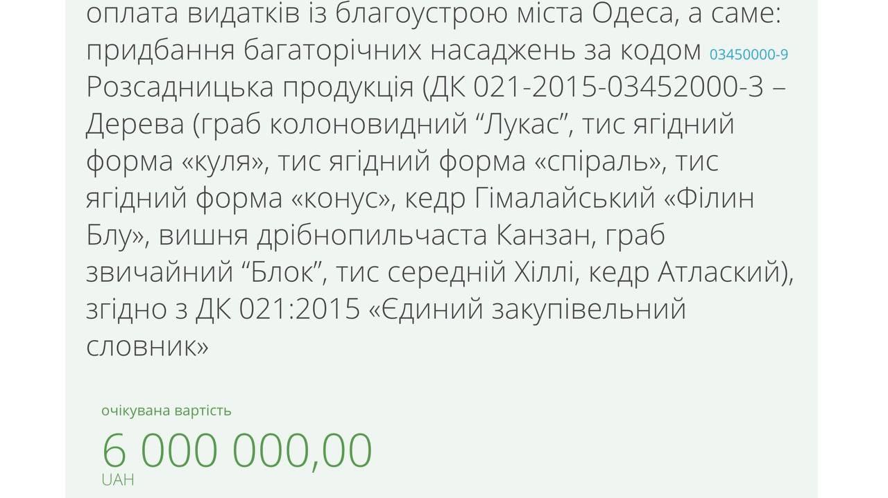 Одеська мерія скасувала скандальний тендер на закупівлю рослин, щоб оголосити новий.