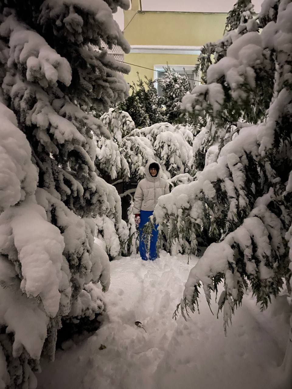 Метель осенью в Одессе – это еще и красиво: самые яркие кадры непогоды.