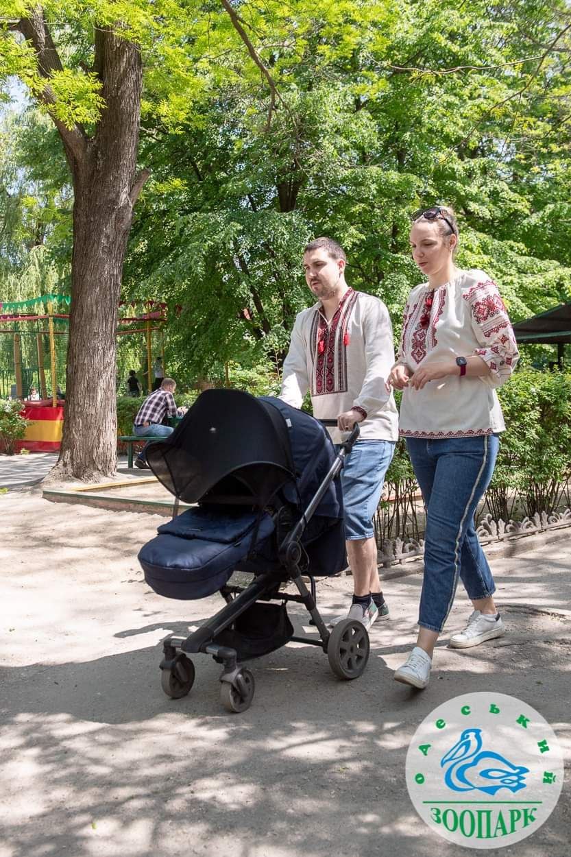 Бесплатный поход в зоопарк.