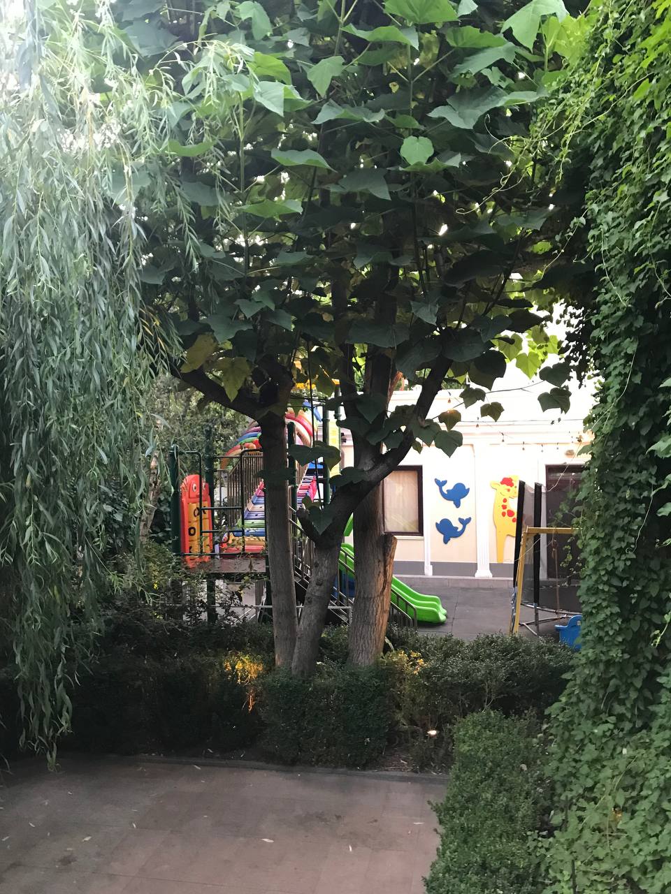 На месте легендарного ресторана "Александровский" в Одессе открыли "Татар Бунар": обзор заведения - фото