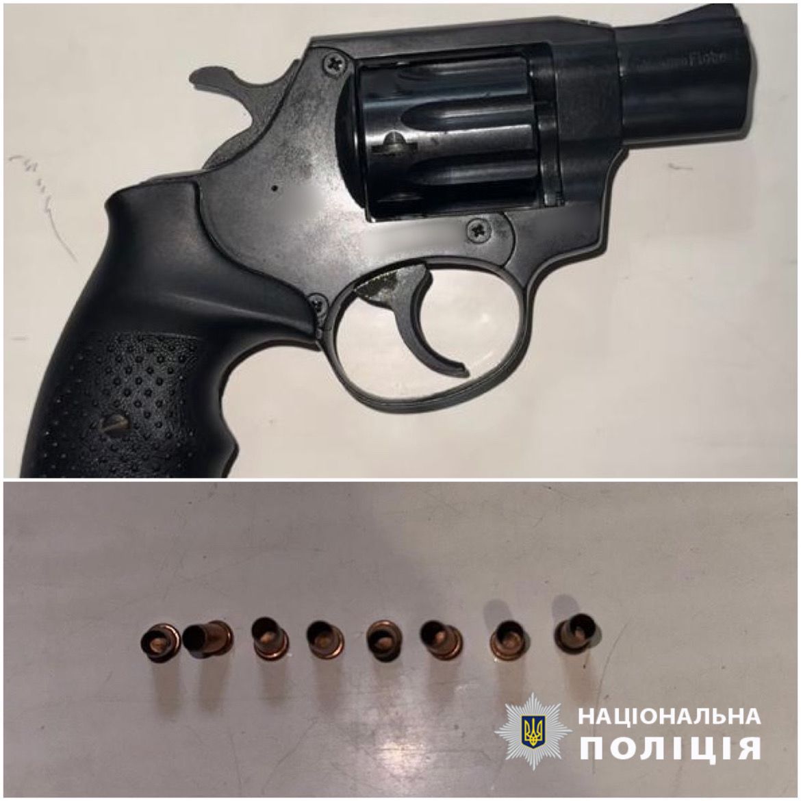 В Одесской области мужчина открыл стрельбу по собакам и угрожал оружием детям (обновлено).