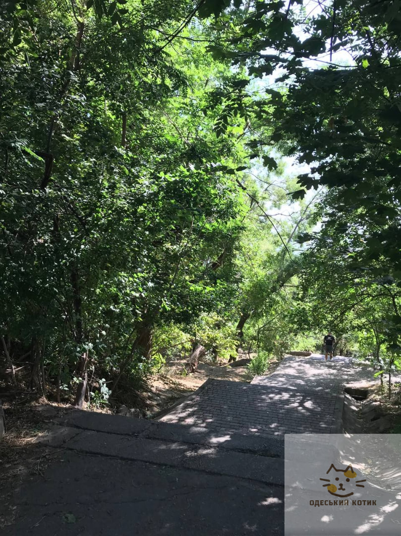 Нові назви топонімів: де знаходиться провулок Госпітальєрів в Одесі.