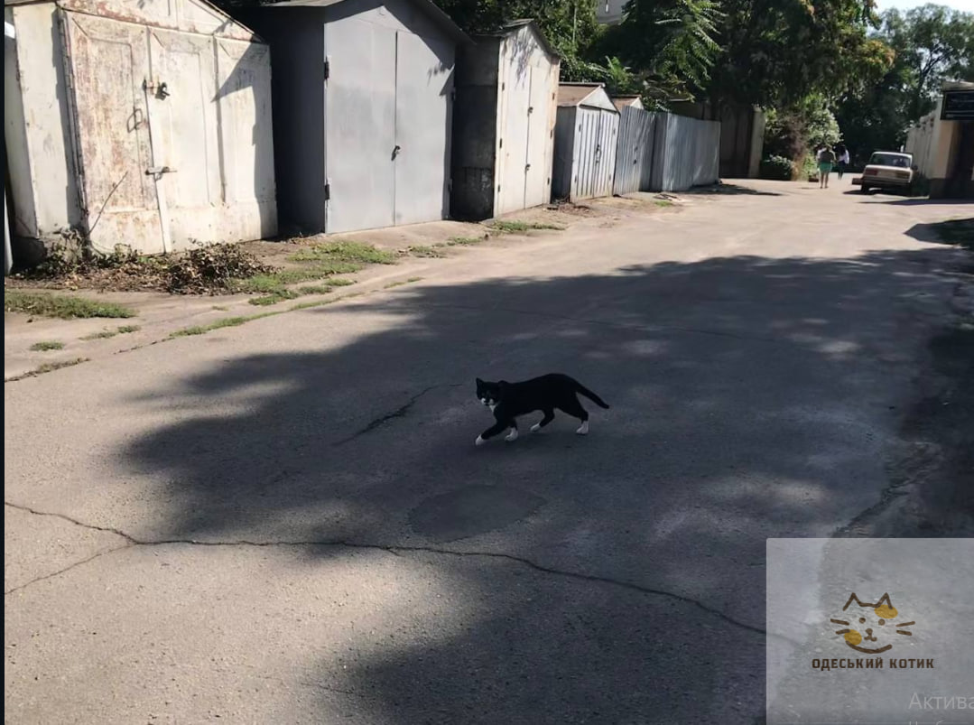 Нові назви топонімів: де знаходиться провулок Госпітальєрів в Одесі.