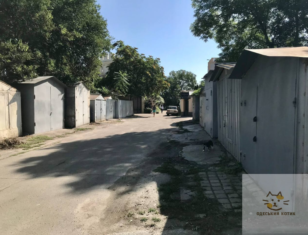 Нові назви топонімів: де знаходиться провулок Госпітальєрів в Одесі.