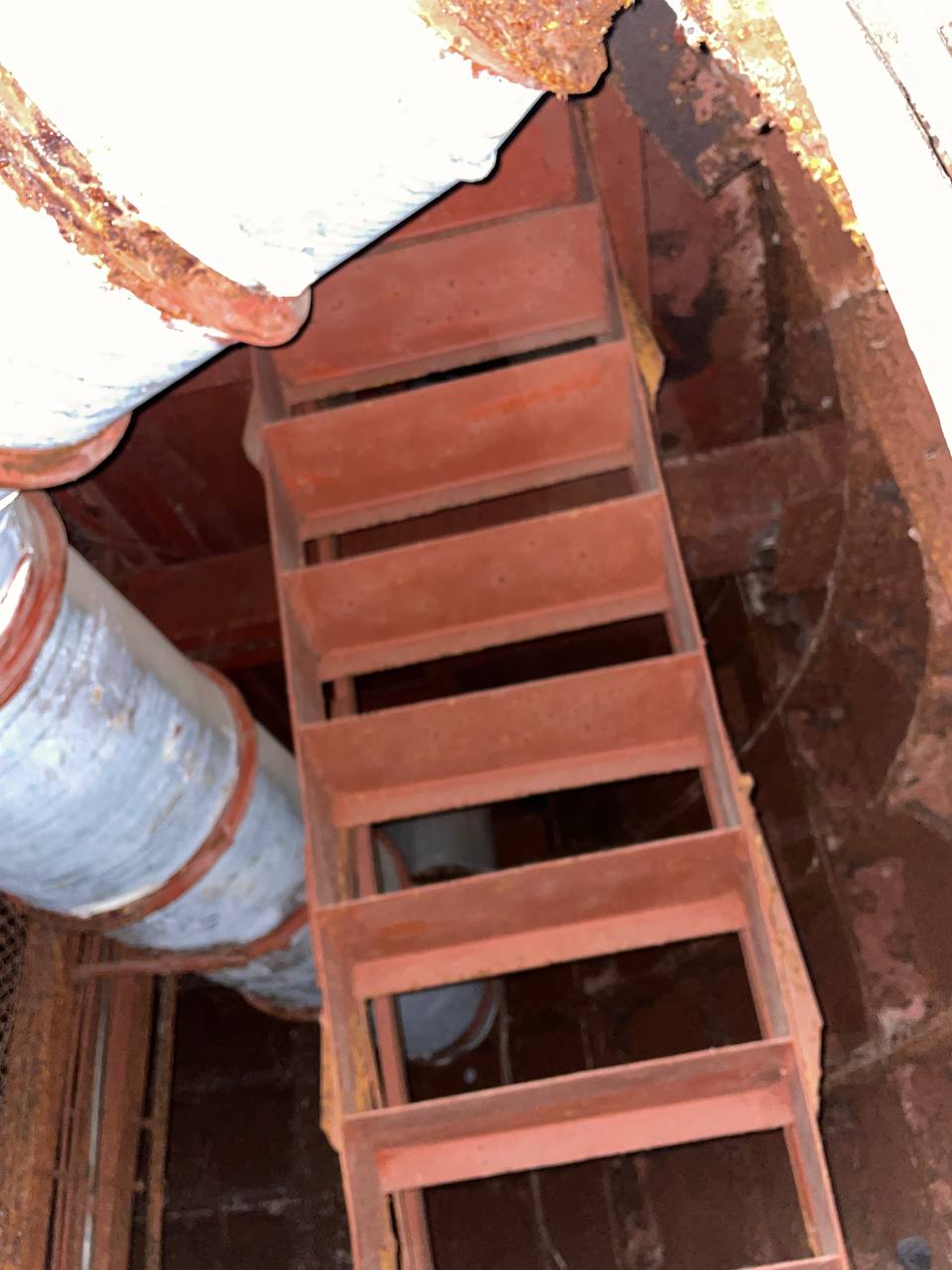 Казковий тунель. Фото: instagram.com/ben_bam_bom