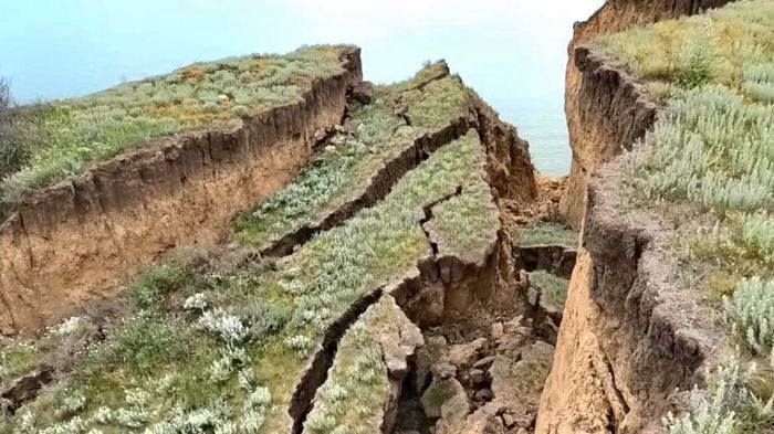 Между городом Южный и селом Коблево произошел гигантский оползень. Фото зоотропа