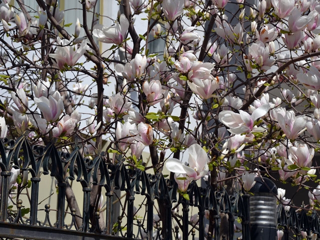 Климовский квартал.