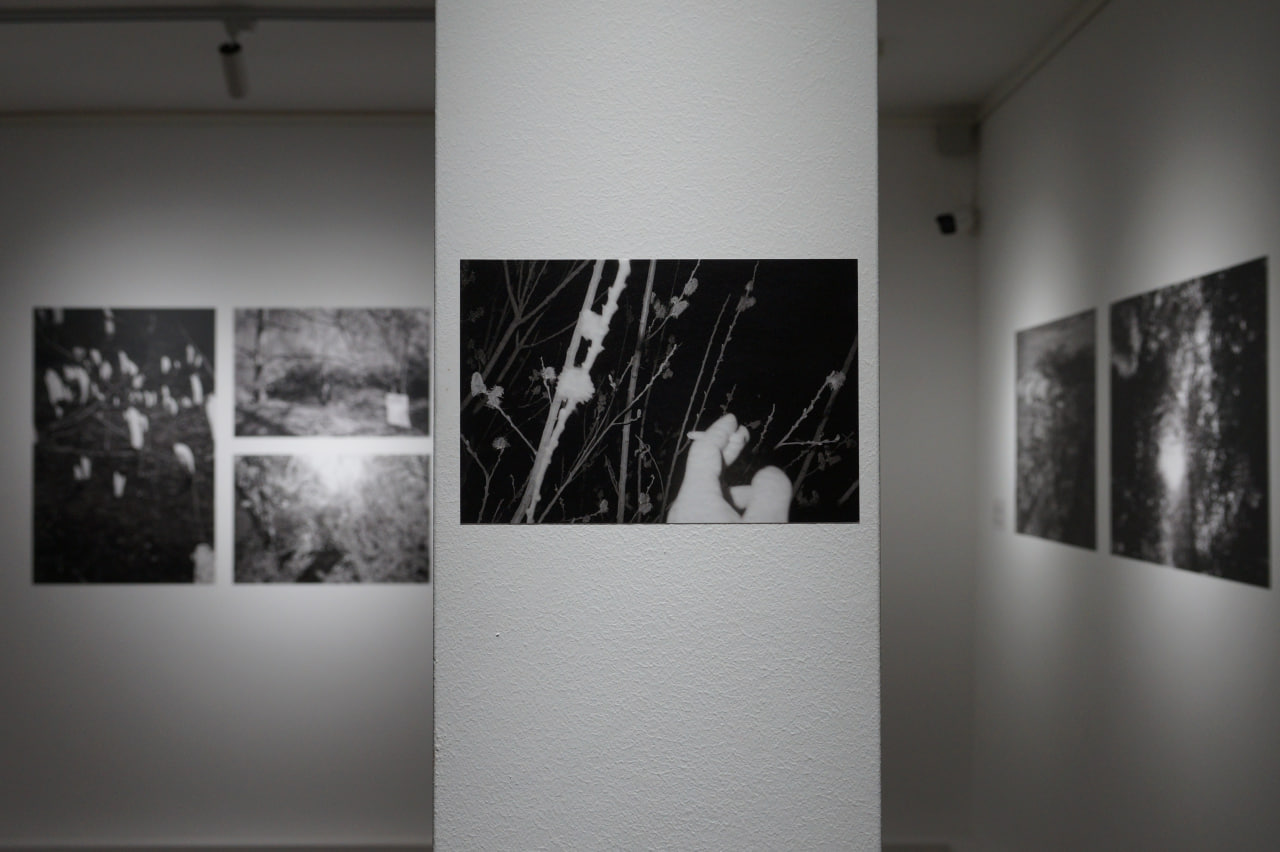 Выставка Александра Населенко "Непростая молитва за цветущую Манголию".