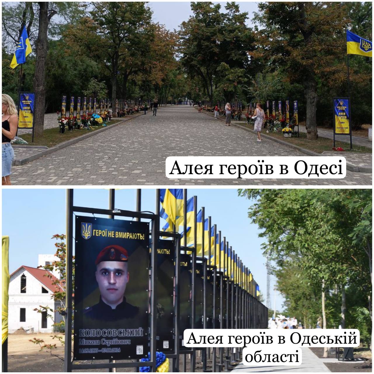 Что не так с Аллей Героев, которую открыли недавно в Одессе.