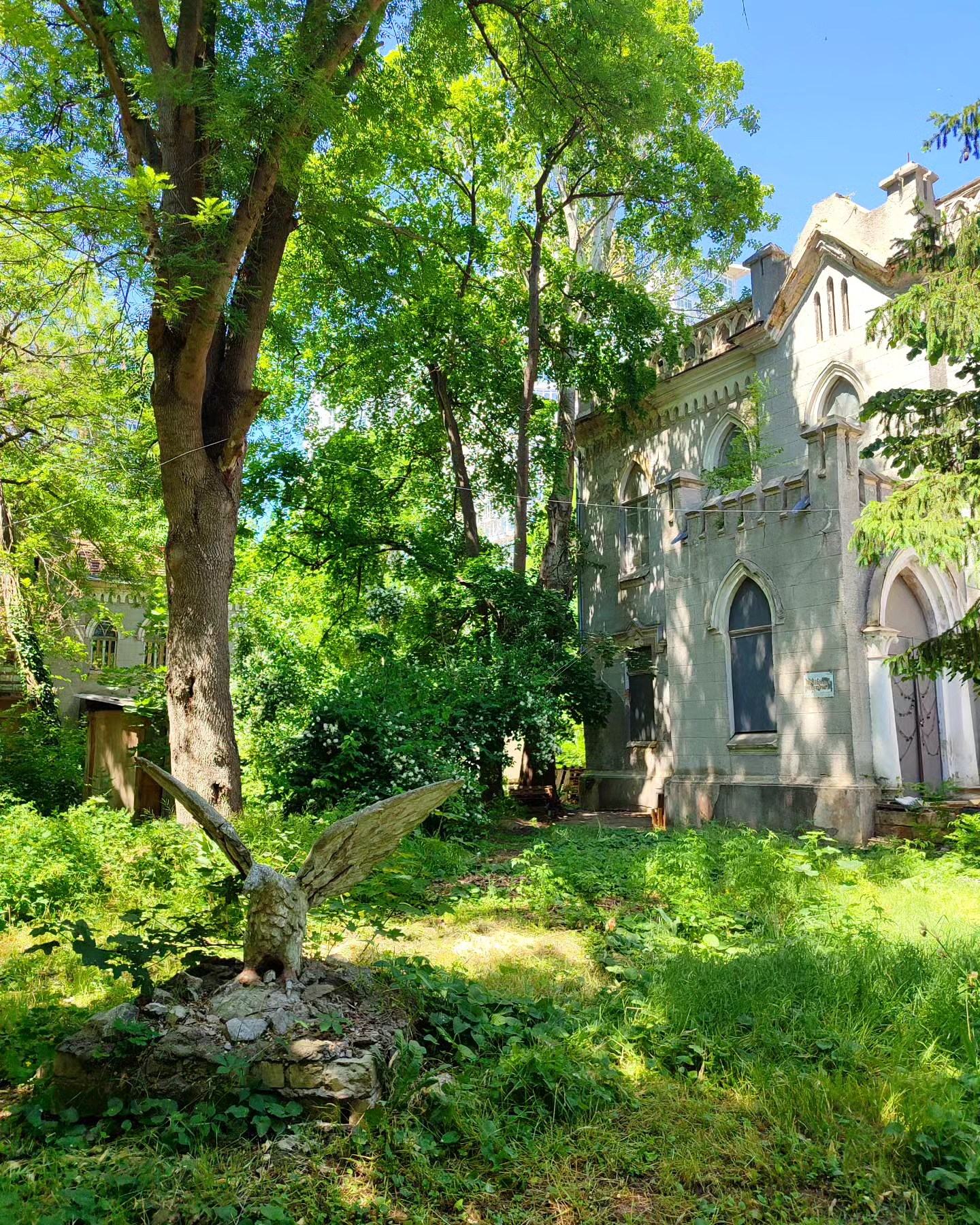 Опен-ейр Live at Botanіс за допомогу босаду.