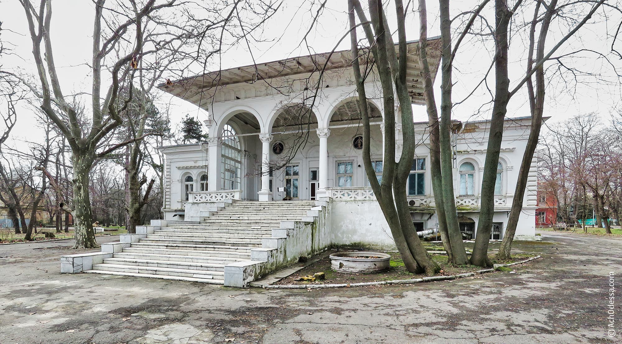 Дача Ашкенази.