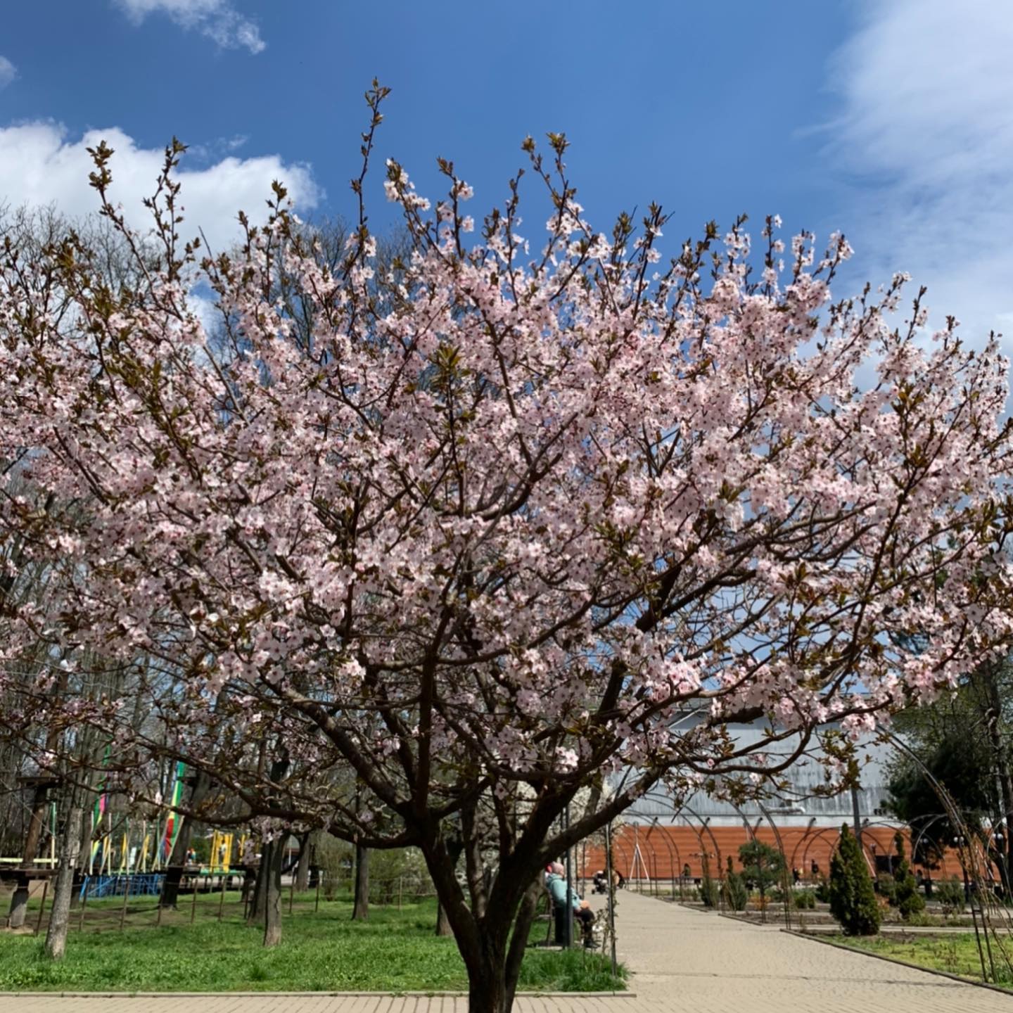 Парк Марка Твена.