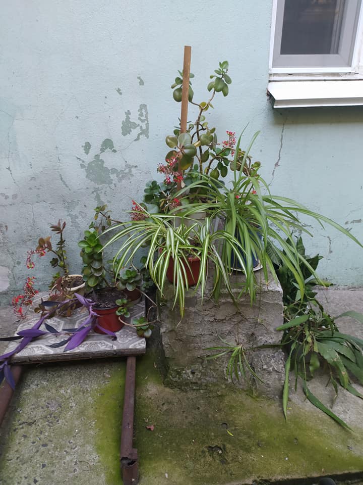 Дворик одесского ТЮЗа. Фото: Оксана Бурлай