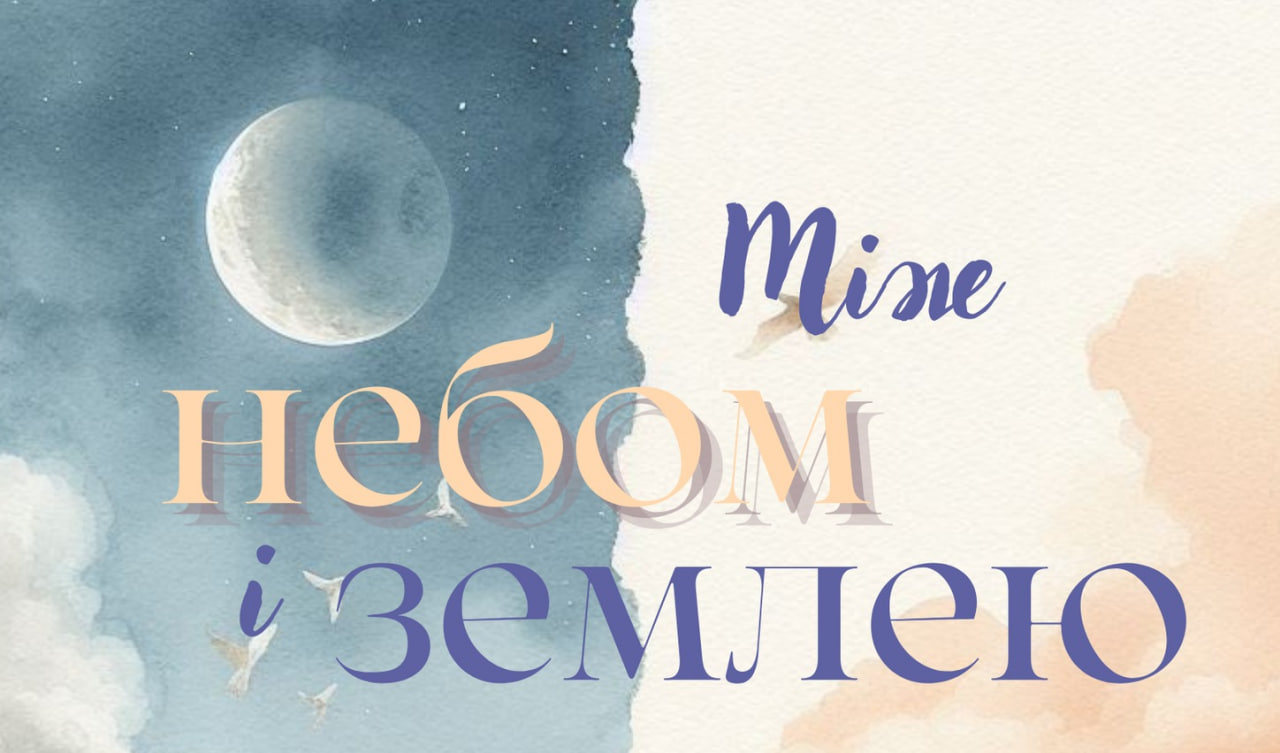 MoreСобакFest и презентация книги "Записки добровольца": куда пойти в Одессе на грядущих выходных бесплатно - фото