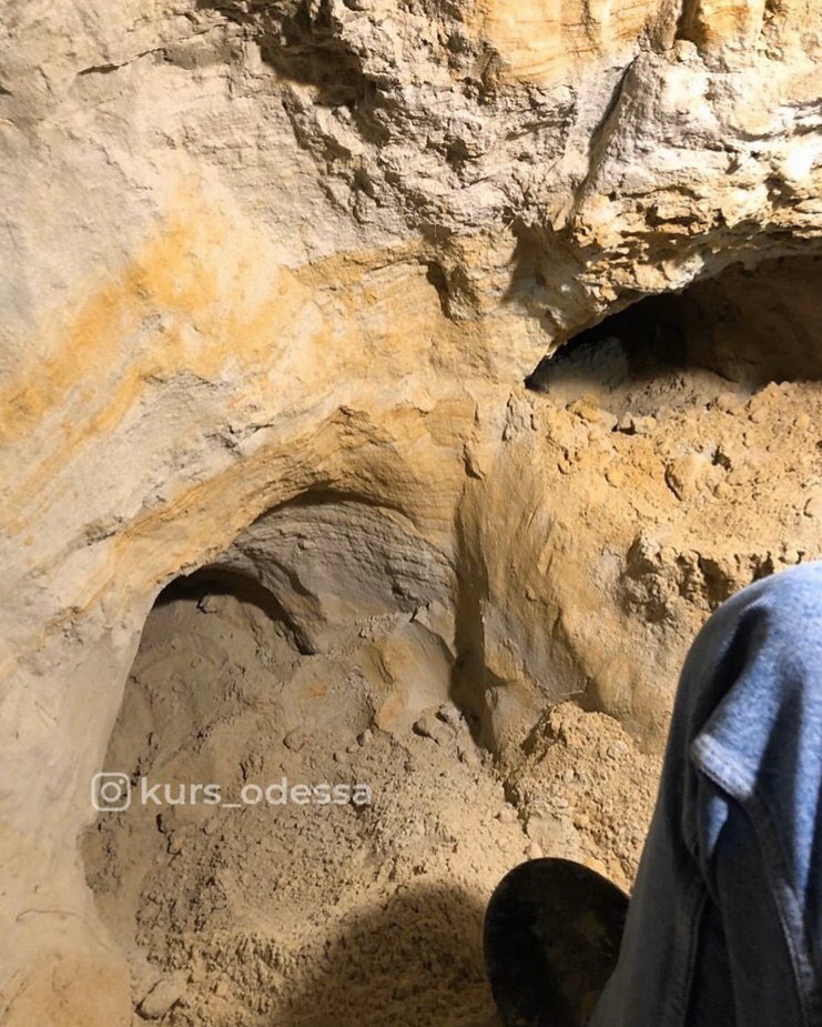 Двое мужчин погибло под Одессой, спасая лис и собаку