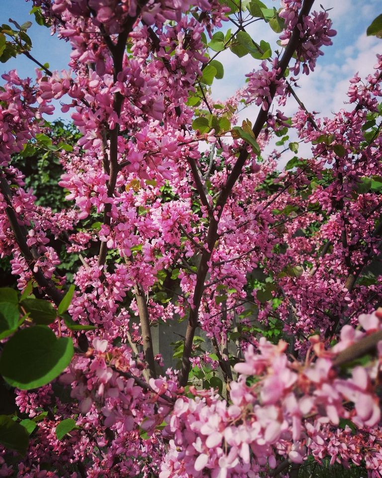 Дом мебели.