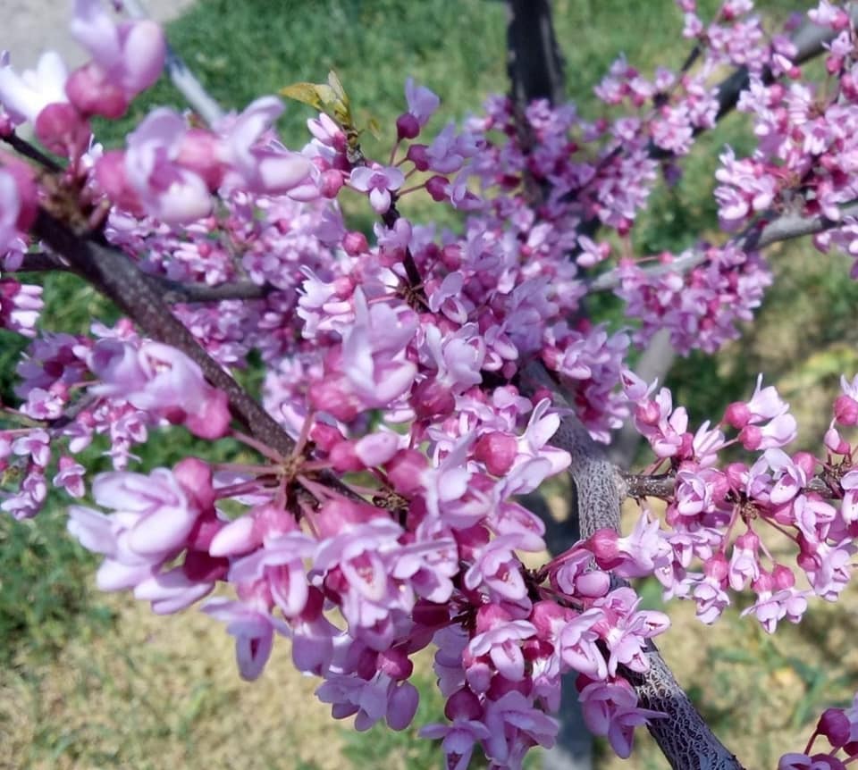 Дом мебели.