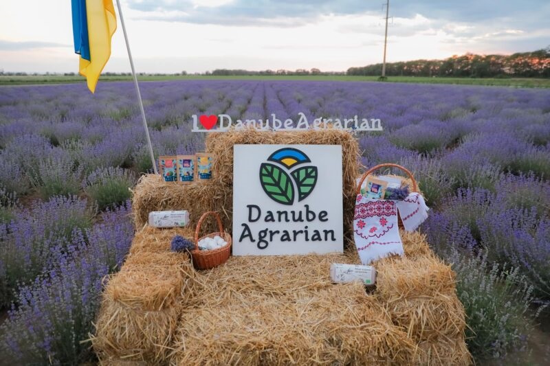 На полях "Дунайский Аграрий" в Измаильском районе Одесской области.