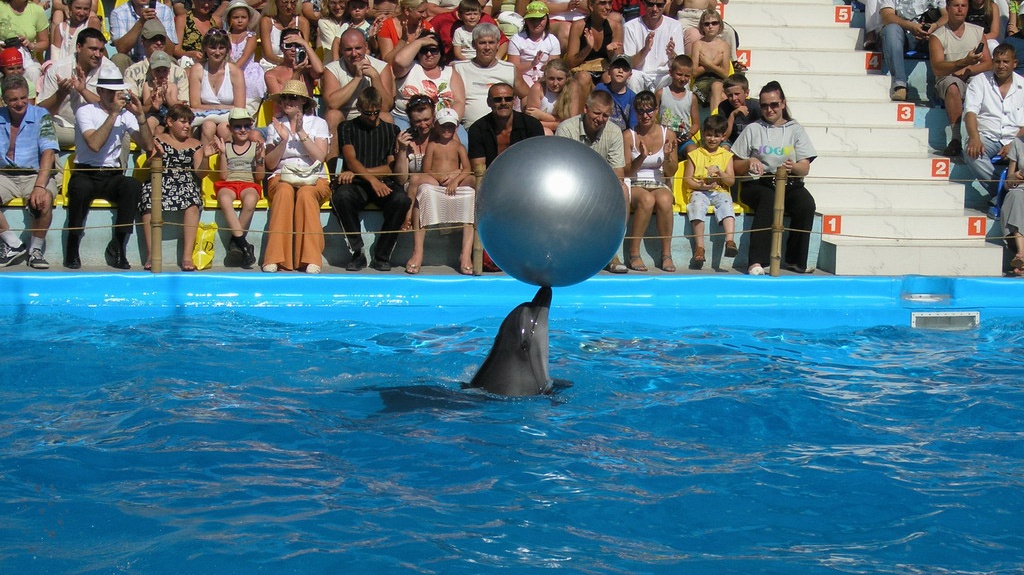 NEMO Hotel Resort & SPA.