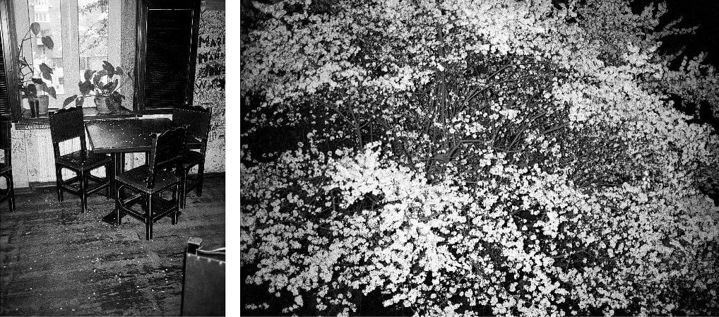 Выставка Александра Населенко "Непростая молитва за цветущую манголию".