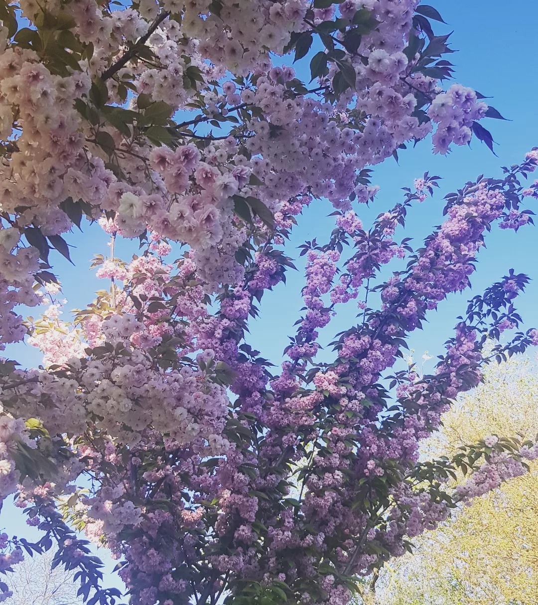 Парк Победы.