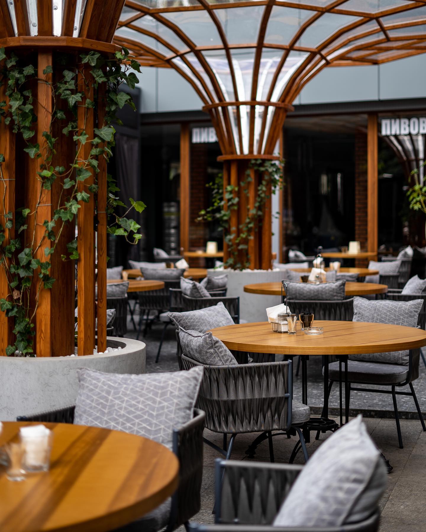 Золотое руно.