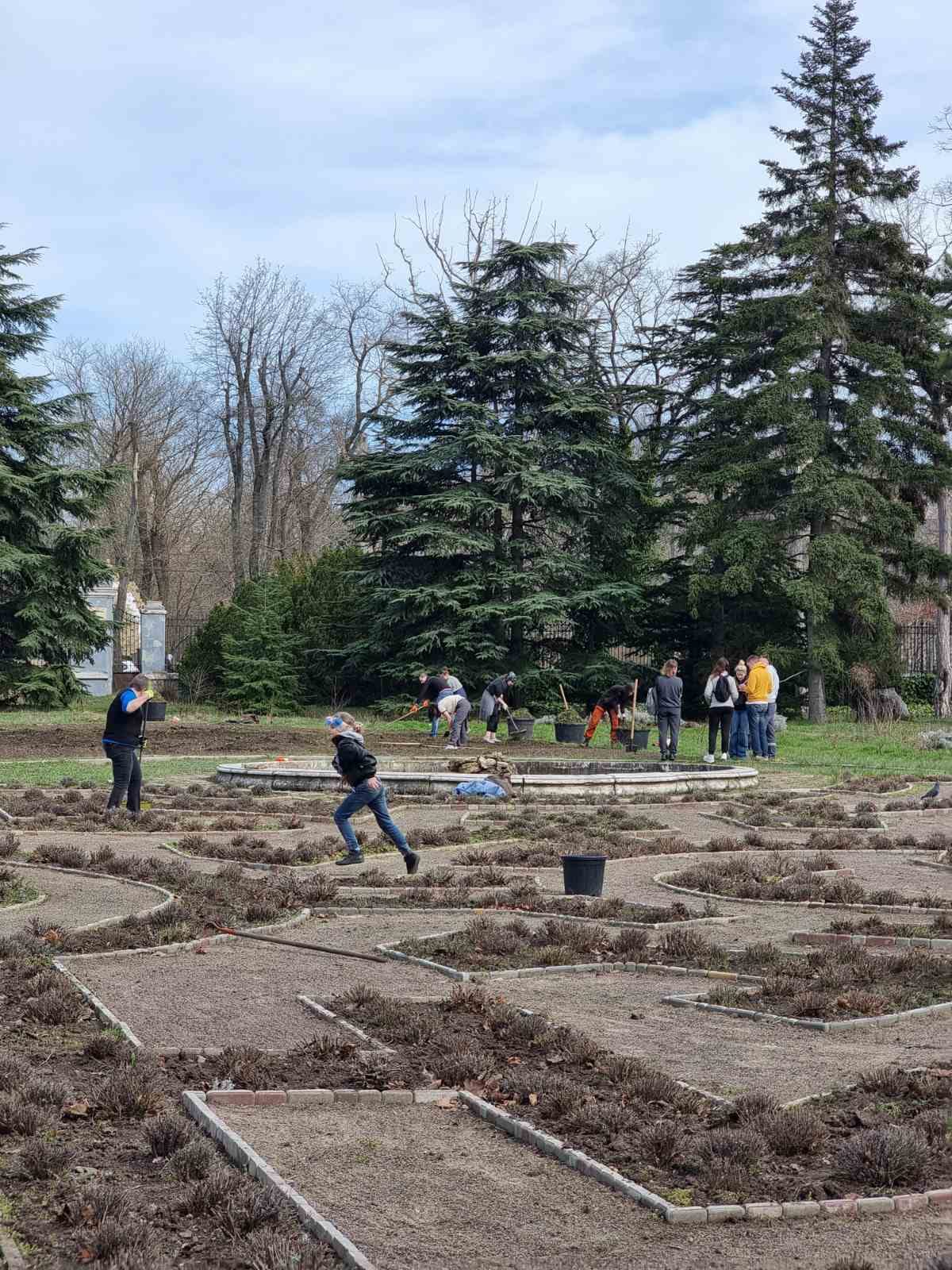 Помощь Ботсаду.