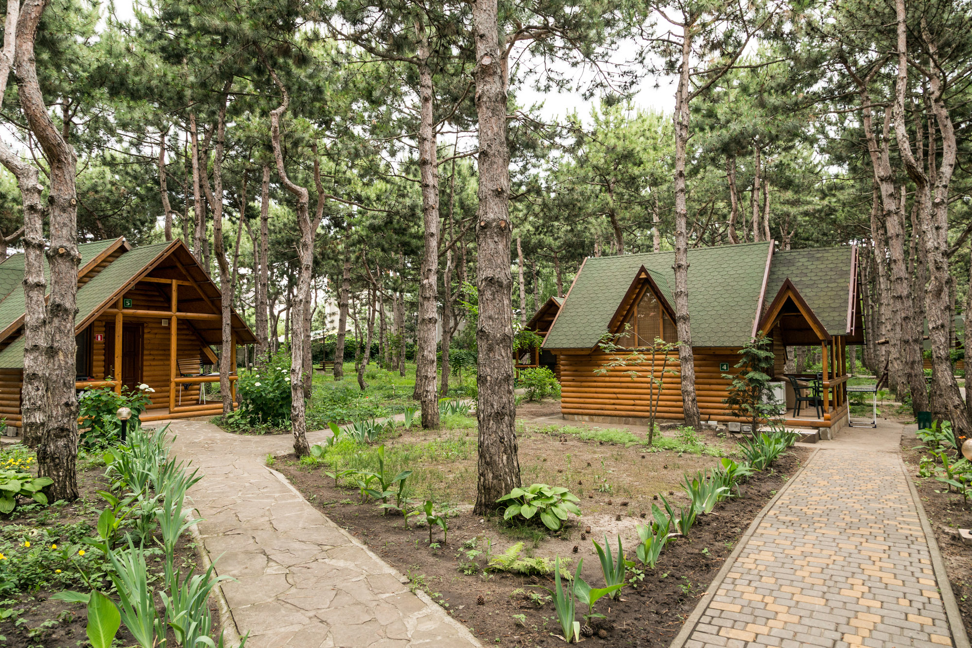 Елки-палки.