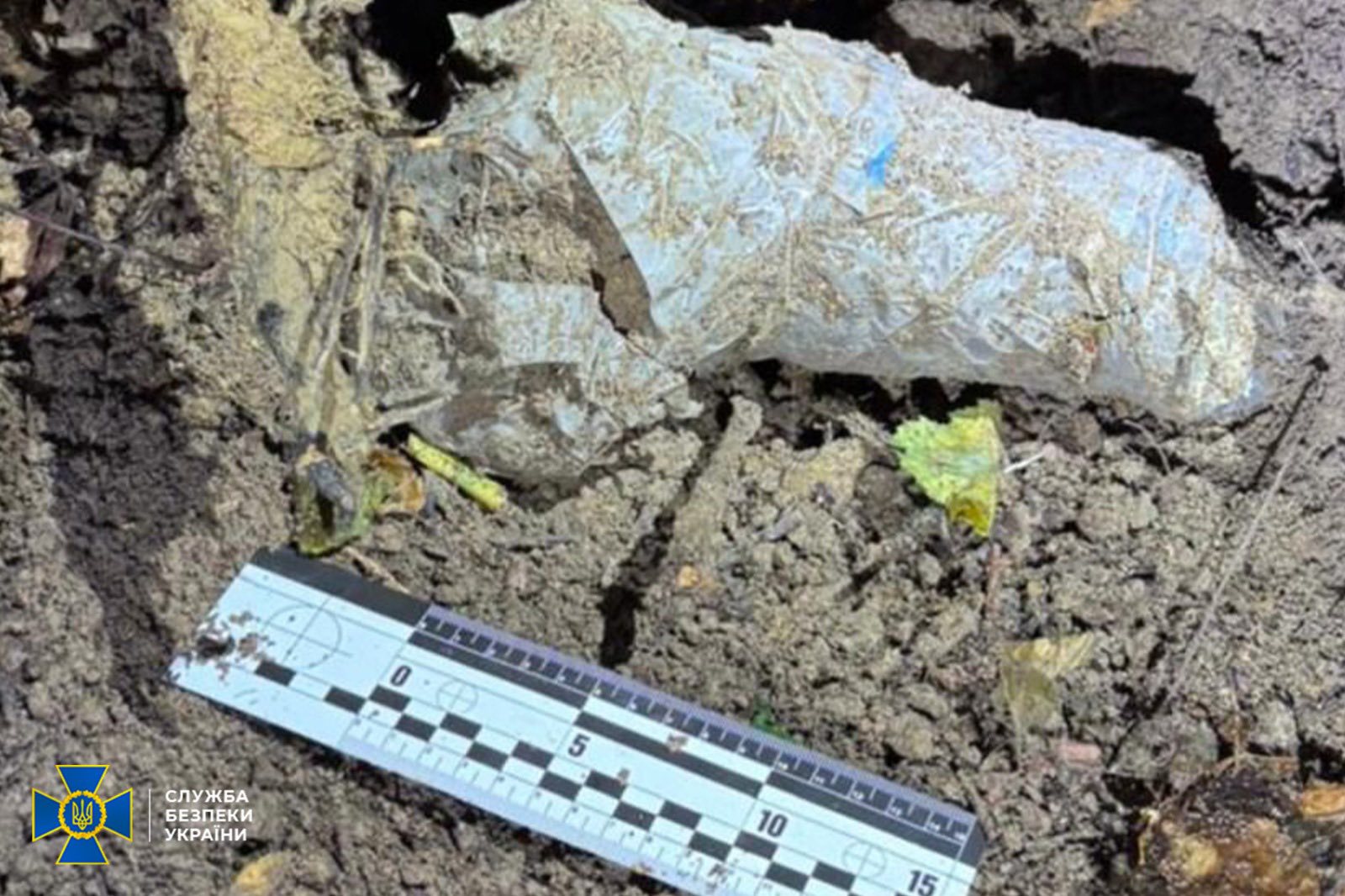 В лесопарке возле Львова обнаружили пистолет, из которого убили Андрея Парубия.