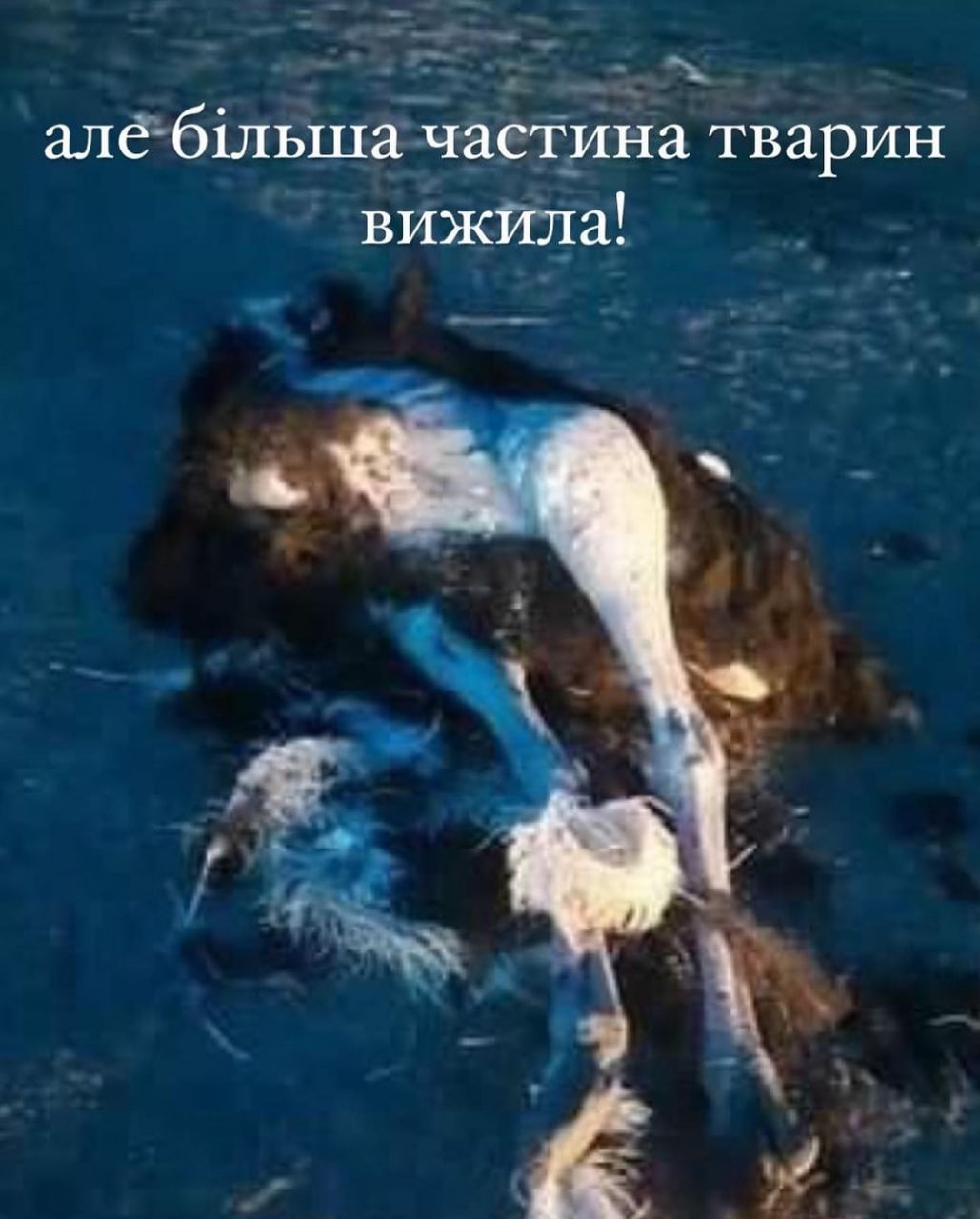 На Киевщине оккупанты обстреляли эко-парк "Ясногородка".