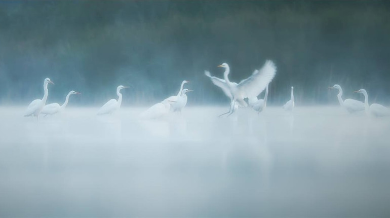 Работа фотографа Дениса Кривого, погибшего под Бахмутом.